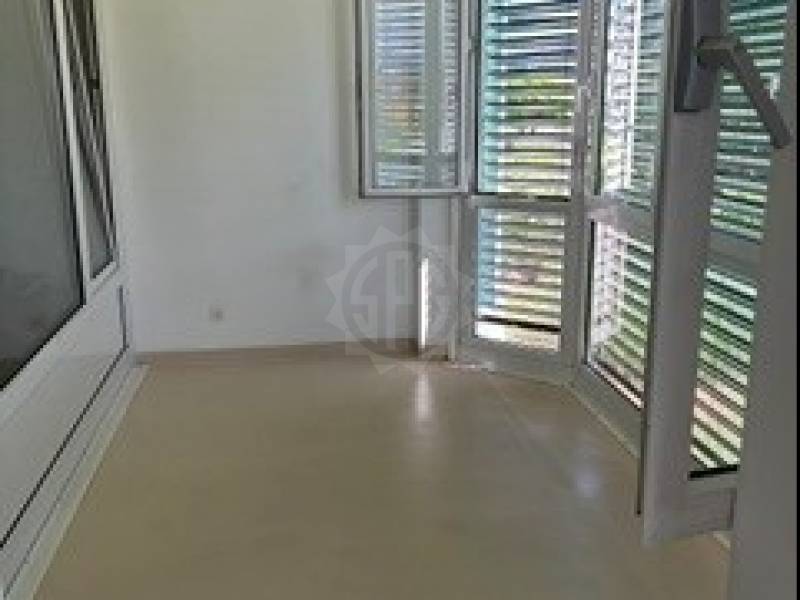 Appartement – Carouge – Carouge