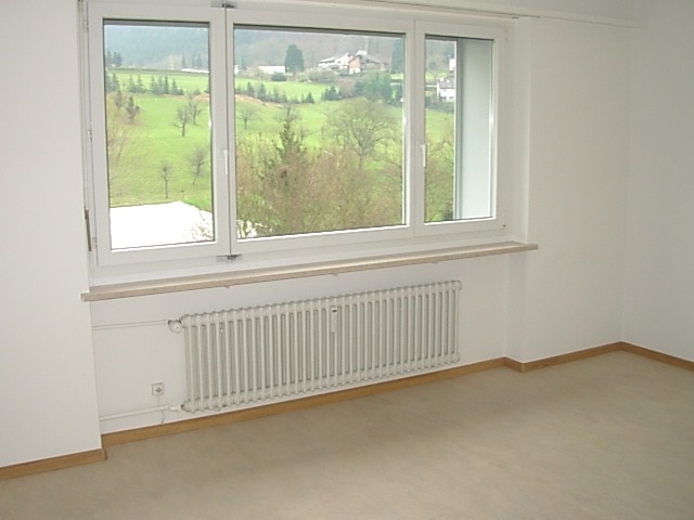 Klein aber fein! – Liestal