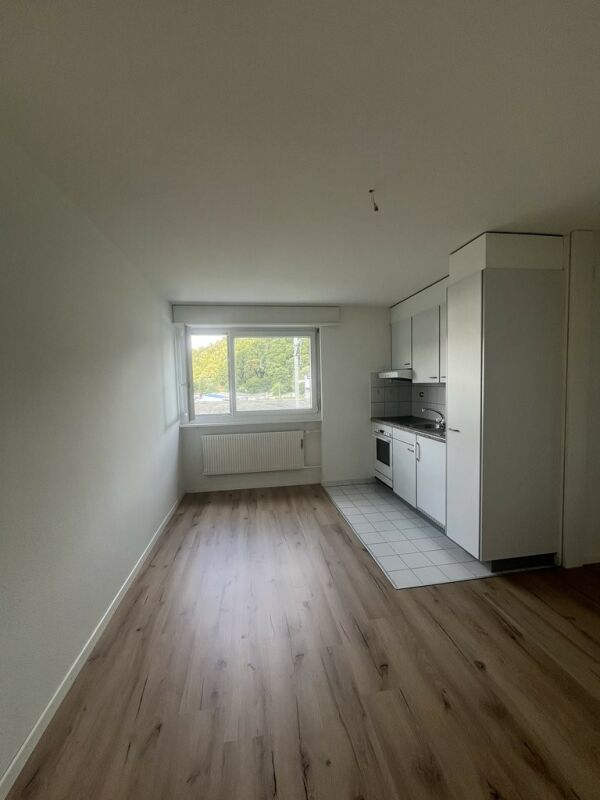 Appartement de 1.5pcs rénové à louer ! 1er loyer net offert ! – Porrentruy