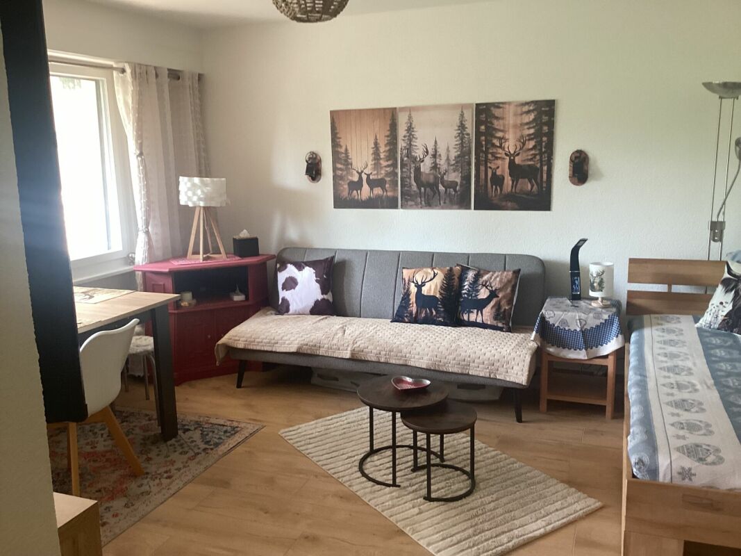 Appartement 1 1/2 pièces à Crans-Montana – Crans-Montana
