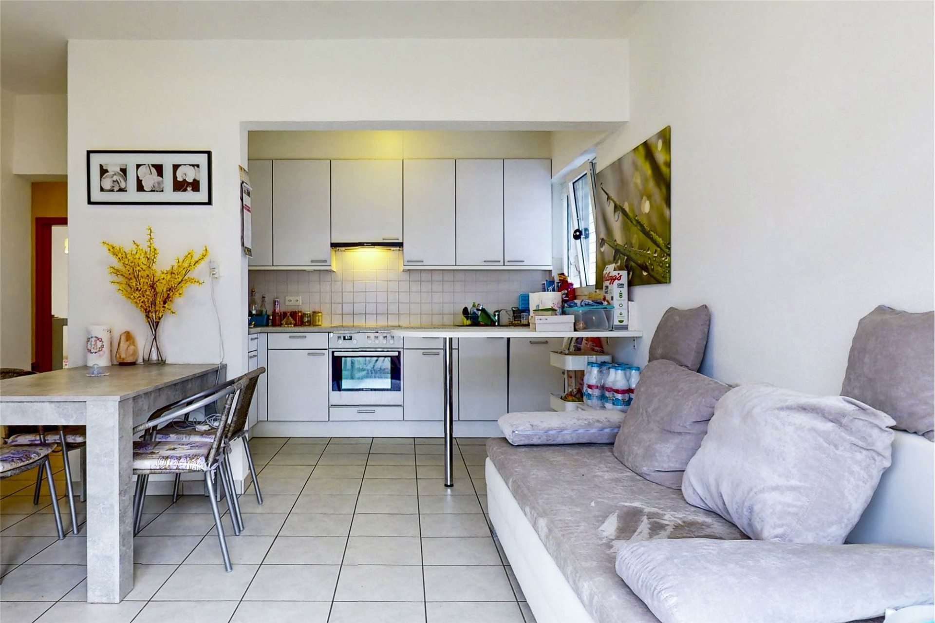 3,5-Zimmer-Wohnung, inklusive Komplettrenovierung – Bellinzona